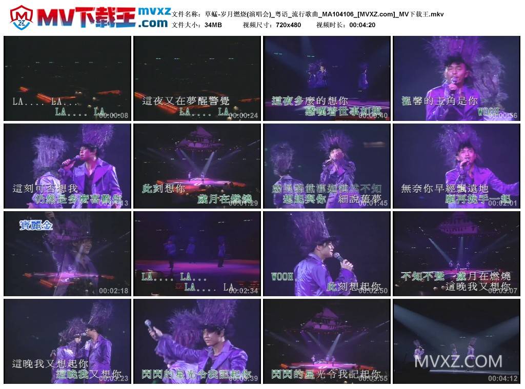 草蜢-岁月燃烧(演唱会)_粤语_流行歌曲_MA104106